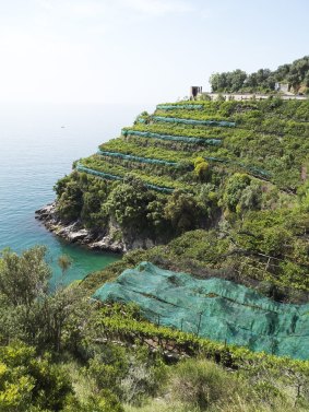 You can take a trip along the Amalfi coast on a Chef's Market Discoveries tour.