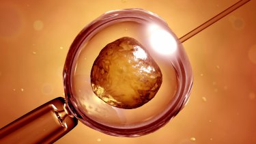 Parents who are carriers can access IVF for pre-implantation genetic diagnosis.
