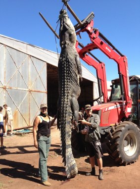 Crocodile hunter Mick Pittman (right) and his partner Michaela Johnston with a 4.93-metre male crocodile that had to be killed because it was eating cattle.