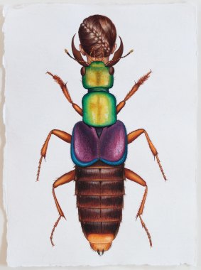 Deborah Klein, <i>Actinus Imperialis Beetle Woman</i>, 2014, watercolour.