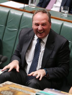Deputy Prime Minister Barnaby Joyce during question time on Tuesday.