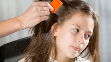 Head Lice Busting The Myths So We Can Nab Those Nits
