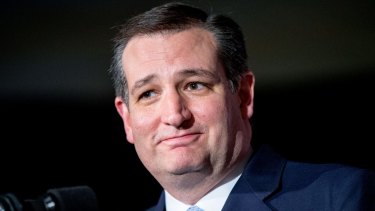 Ted Cruz's face has been unkindly described as backpfeifengesicht - or one inviting a slap.