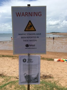 Redland City Council erected signs at Wellington Point alerting swimmers to the venomous Irukandji Morbakka fenneri, after a six-year-old boy was stung and suffered serious welts.