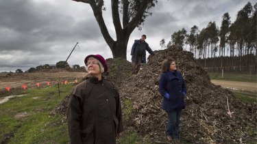 Helen Lewers, Gavin Jamieson and Kate Vivian next to a tree which has been turned into mulch during construction.