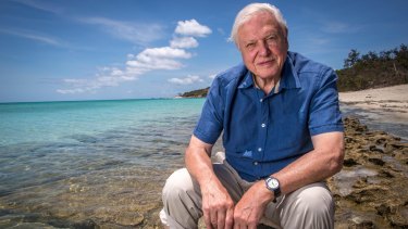 Sir David Attenborough back at the Great Barrier Reef. 