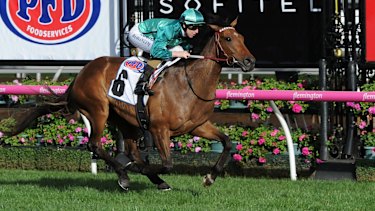 Sky Channel Excels During Spring Carnival Bucking The Trend Of Falling Viewers
