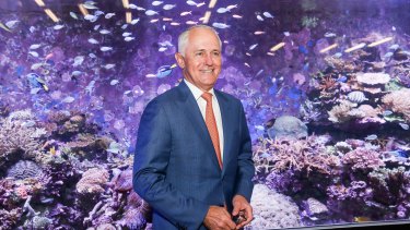 Prime Minister Malcolm Turnbull visits the Australian Institute of Marine Science (AIMS) to unveil the 'rescue plan' for the reef.