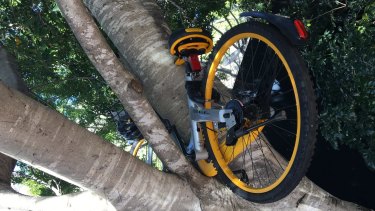 An illegally dumped Obike in Sydney's Darling Harbour precinct.