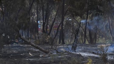 Burnt out land in Carrum Downs on Saturday.