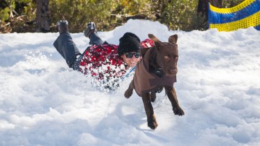 Corin Forest Opens Up Slopes To Dogs For First Snow Dogs Event