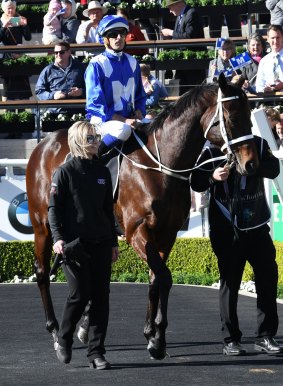 Super star: Winx is paraded before an adoring crowd at Randwick.