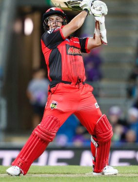 Brad Hodge in action for the Renegades
