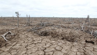 Drought conditions are expanding as the El Nino impact on Australia grows.