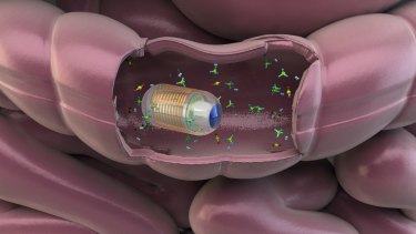 The swallowable gut sensor being developed by Dr Kourosh Kalantar-zadeh, director of the Centre for Advanced Electronics and Sensors at RMIT University.