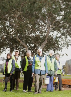 Members of the 'Save Albert Park' group. From left: Barbara Clinton, Eamon Rooney, Margaret Hilton, Peter Goad, Mary Ellen Talmage and Rosemary Goad.  