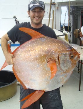 Nicholas Wegner holds an opah caught during a research survey off the California coast. 