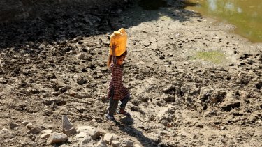 A girl carries drinking water on her head as she walks back to her village after collecting it from an almost dried up well in Samba, India, last week. 