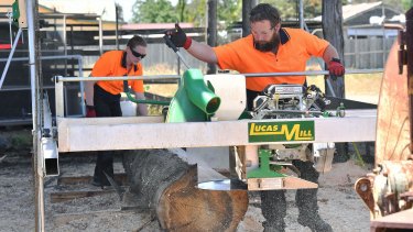 From Senator To Sawmill Owner The Rise And Rise Of Ricky Muir