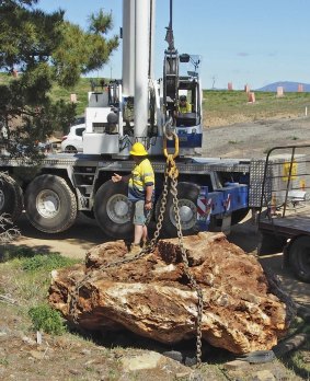 The 16-tonne Australian jade is unloaded in Canberra after arriving from Gladstone in Queensland.