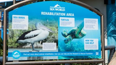 Sea World has earned a reputation for its rescue and rehabilitation work and its funding of marine research, but critics say such projects are a "fig leaf".