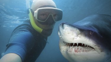 Data from 2014, shows more people were killed taking selfies than in shark attacks.
