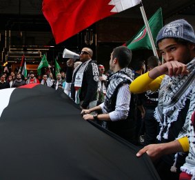 Palestinian supporters.