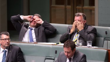 Dennis Jensen and Craig Kelly during question time at Parliament House last December. 