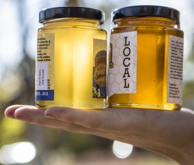Yellow box honey at left and Ainslie yellow box honey, from other sources as well as the eucalypt, which causes the darker colour.