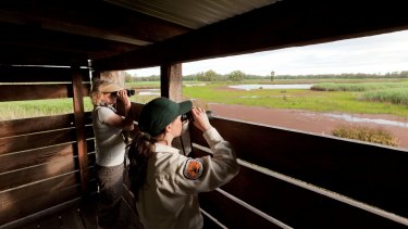 Open season for national park: Bird watching at the Murray Valley National Park.