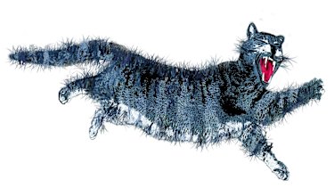 Geelong Cats On The Prowl For Talent