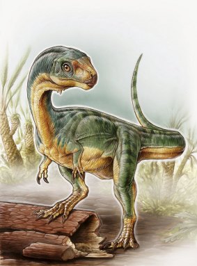 An odd duck: An artist's depiction shows the Chilesaurus diegosuarezi.