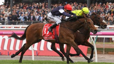 Trifecta betting calculator