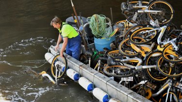 Contractors paid by oBike to collect their bicycles from Melbourne's Yarra last month.