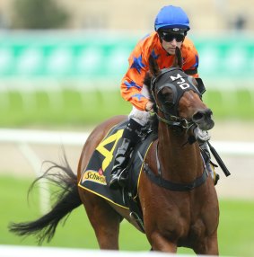 Rocket Commander could now head to the group 2 Sunline Stakes at Moonee Valley in three weeks.