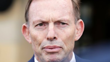 Former prime minister Tony Abbott's attack on a 2015 report into children in immigration detention has been singled out by a UN committee.