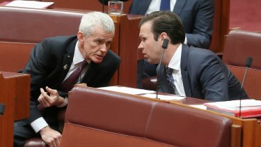Senators Malcolm Roberts and Matt Canavan, who have both been caught up in questions over dual citizenship.