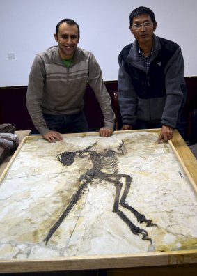 Steve Brusatte and Junchang Lu next to the skeleton.