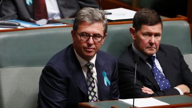Labor is challenging Assistant Health Minister David Gillespie's eligibility to sit in Parliament.