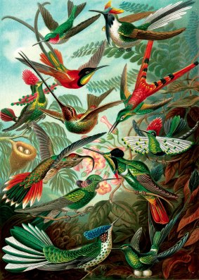 David Rothenberg: "Playing with birds, rather than merely thinking about birds, I begin to feel what it is like to be a bird."