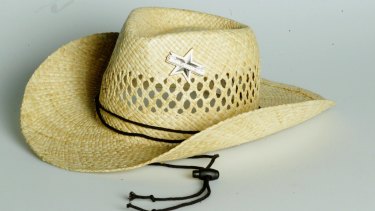 A man has been fined for willful exposure after walking through Cairns wearing little more than a cowboy hat.