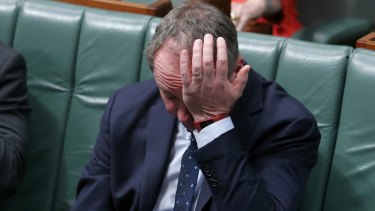 Deputy Prime Minister Barnaby Joyce has been revealed to be a New Zealand citizen.