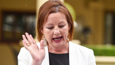 Caught in an expenses scandal, Sussan Ley was forced to stand down.
