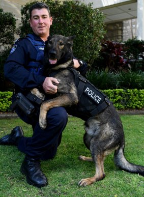 Police dog Kaleb models the new protective vest.