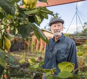 Keith Colls, the Canberra City Farm treasurer and co-founder, in his Weetangera garden.
