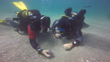 Israeli divers uncovered the largest stash of Roman coins and bronze statues in 30 years. 