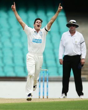 Successful comeback: Sean Abbott celebrates taking a wicket at the SCG.