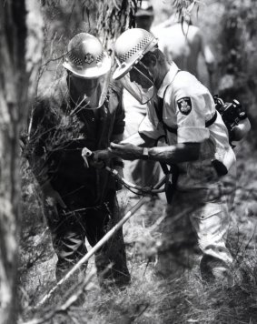 Police use a scrub-clearing machine in their hunt for clues in the Tynong North area where the three bodies were found in 1980. 