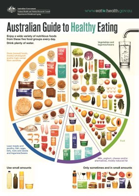 The Department of Health and Ageing's recommended diet.