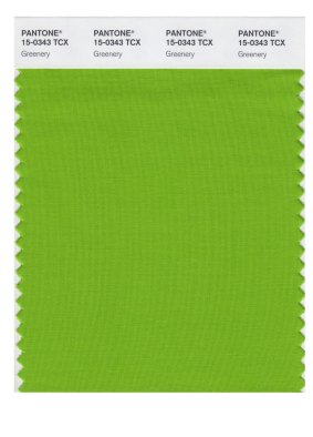 A swatch of greenery, the Pantone colour of 2017.